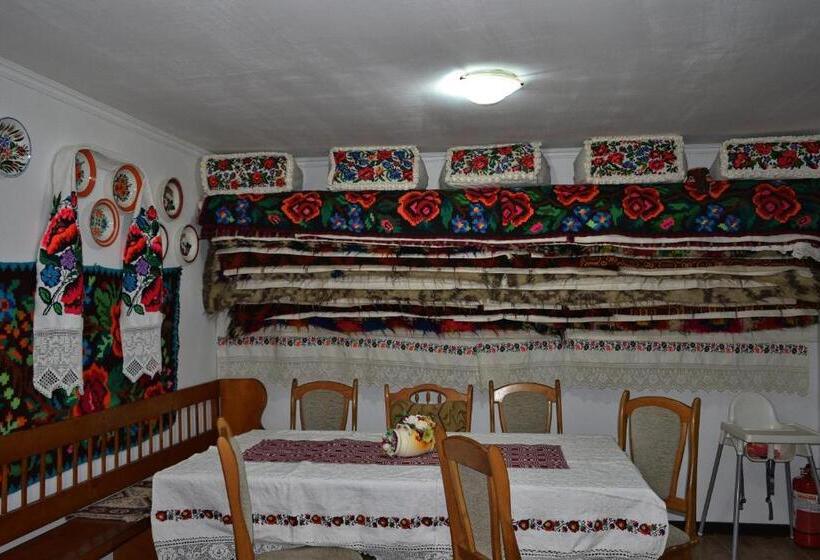 Pensiunea Teodora Teleptean