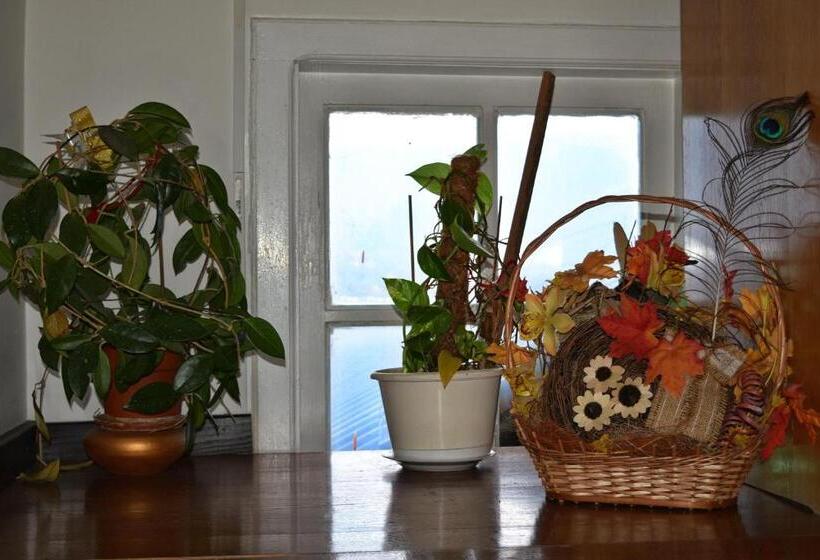 Pensiunea Teodora Teleptean