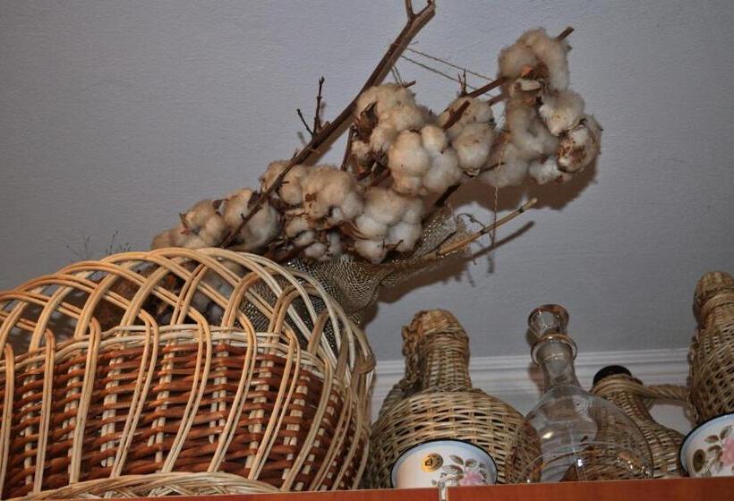 Pensiunea Teodora Teleptean