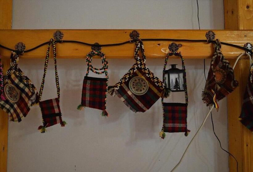 Pensiunea Teodora Teleptean