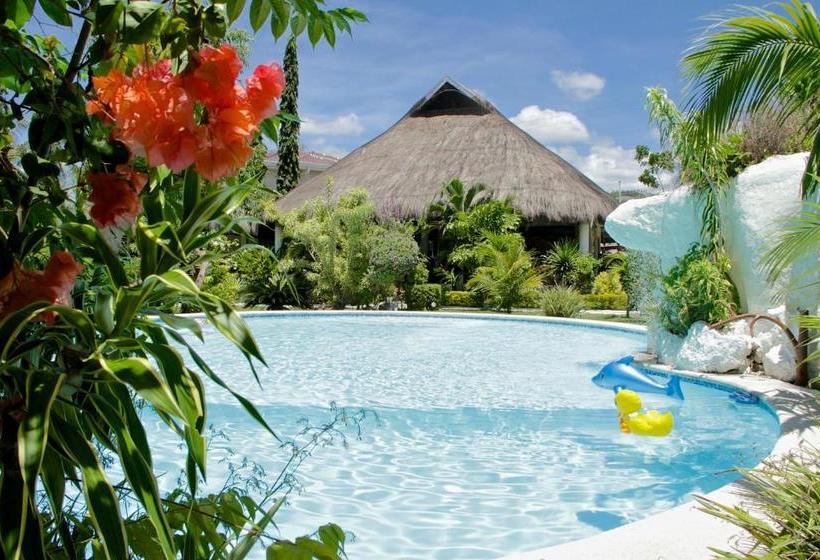 리조트 Divepoint Alcoy