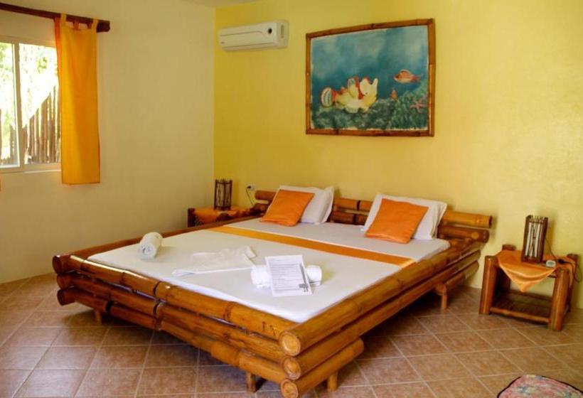 리조트 Divepoint Alcoy