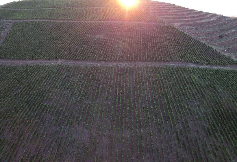 בית מלון כפרי Villa Estet Bağ