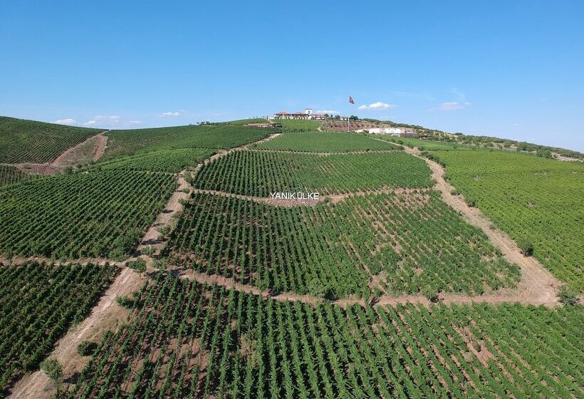 בית מלון כפרי Villa Estet Bağ