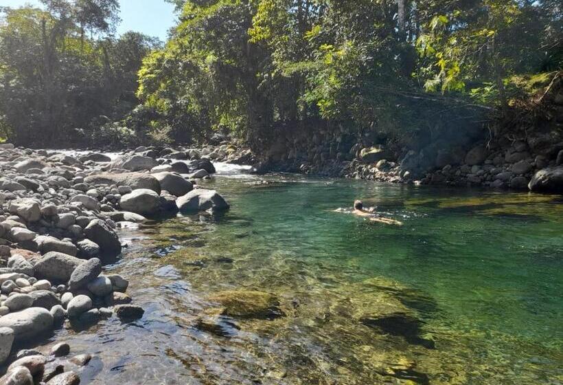 ベッドアンドブレックファースト Centro Ananda