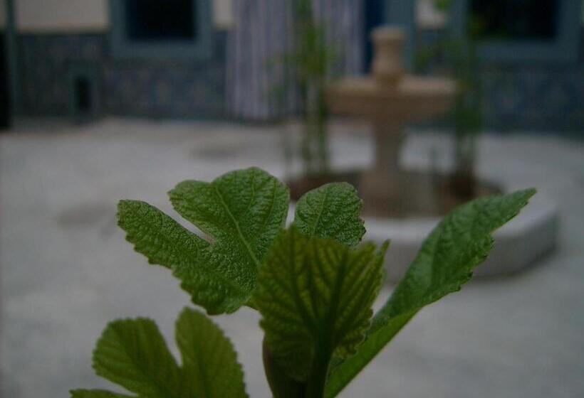 تختخواب و صبحانه Dar Baaziz