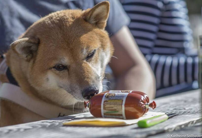 Отель Mair Am Ort