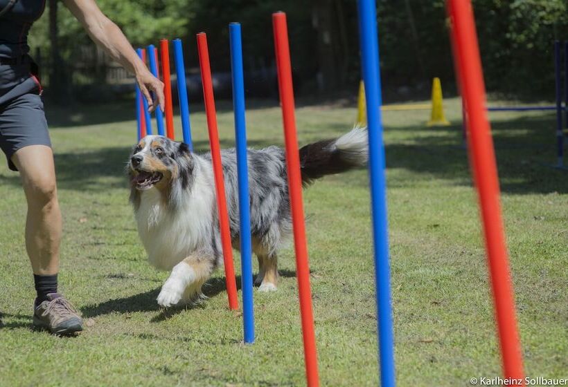 Отель Mair Am Ort