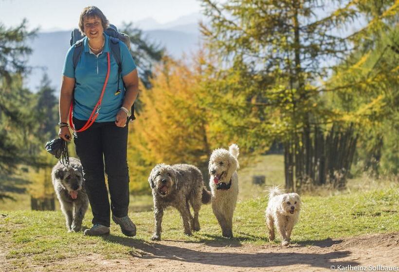 Отель Mair Am Ort