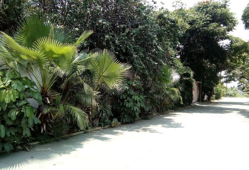 ペンション Bungalows De Los Abuelos