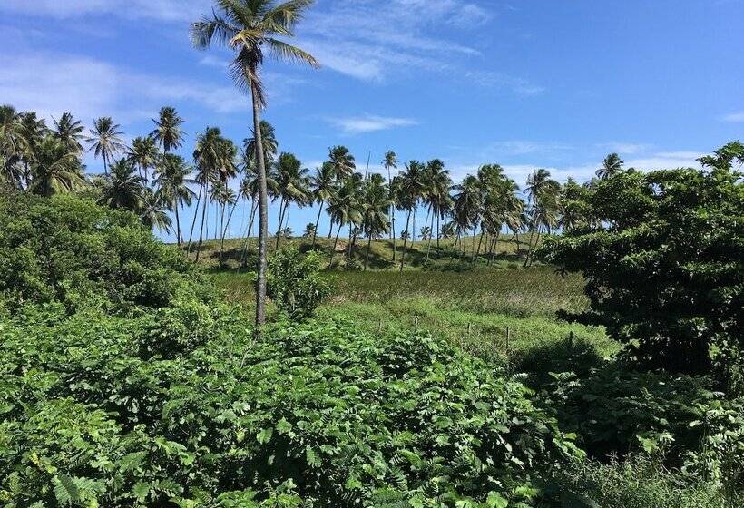 פנסיון Pousada Brisa E Mar