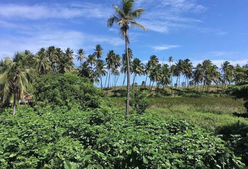 פנסיון Pousada Brisa E Mar