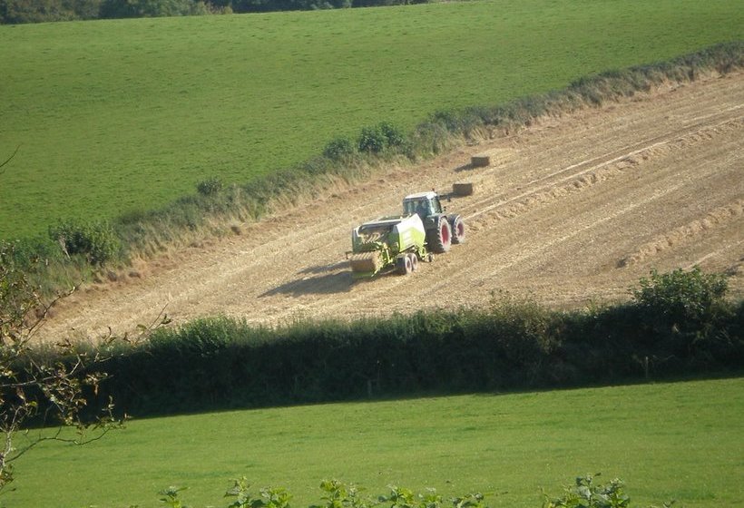 צימר Pillowery Park