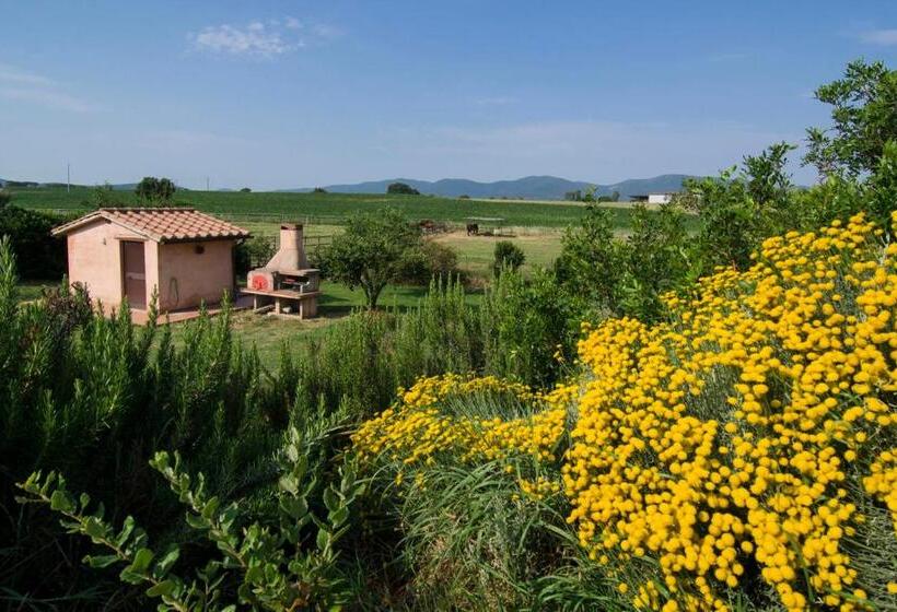هتل Bio Agriturismo Il Melograno Di Banditella