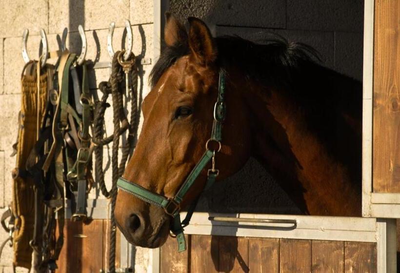 هتل Bio Agriturismo Il Melograno Di Banditella