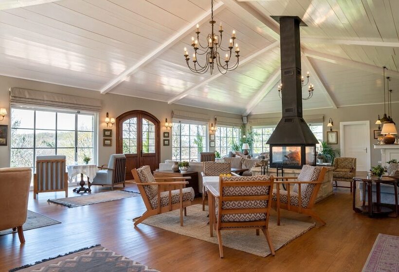 酒店 Casa Lavanda Boutique