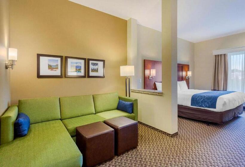 فندق Comfort Suites Burlington Near I 5
