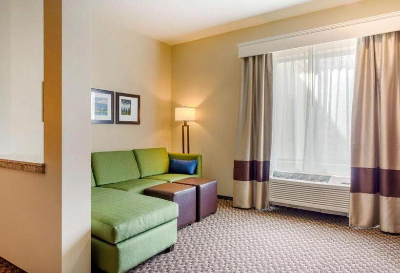 فندق Comfort Suites Burlington Near I 5