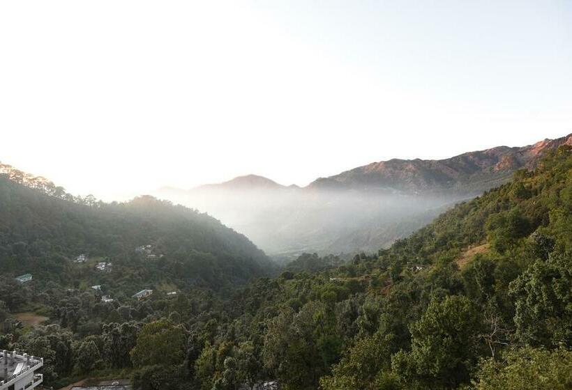 בית מלון כפרי Green Roof