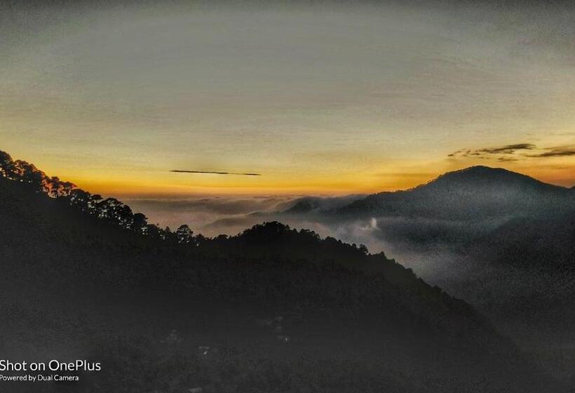 בית מלון כפרי Green Roof