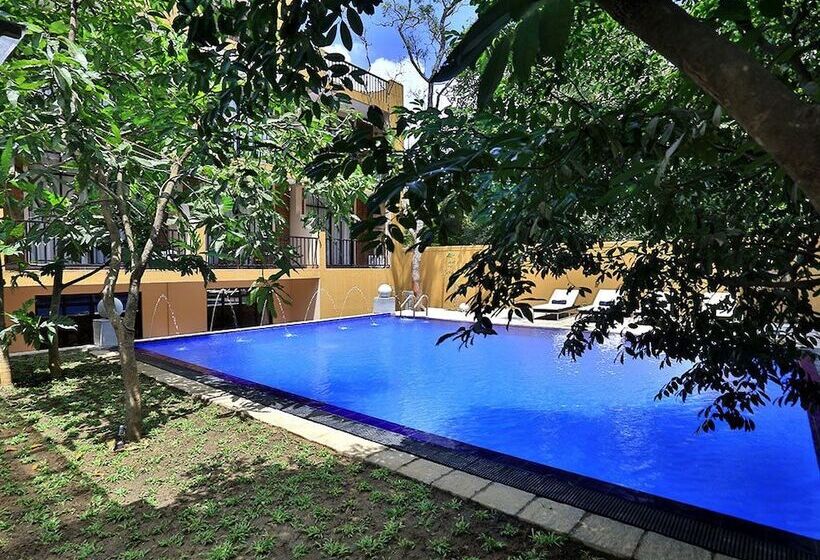 فندق Lily S Resort