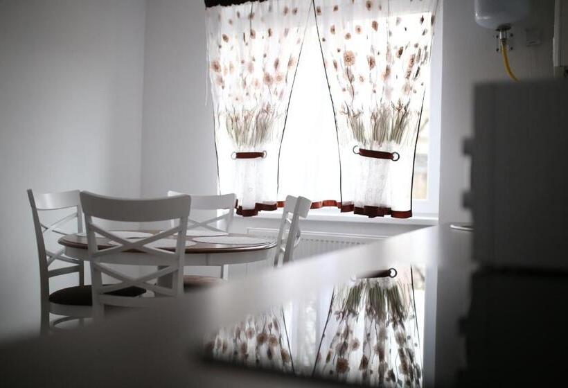 Пансион Casa Melisa Sibiu