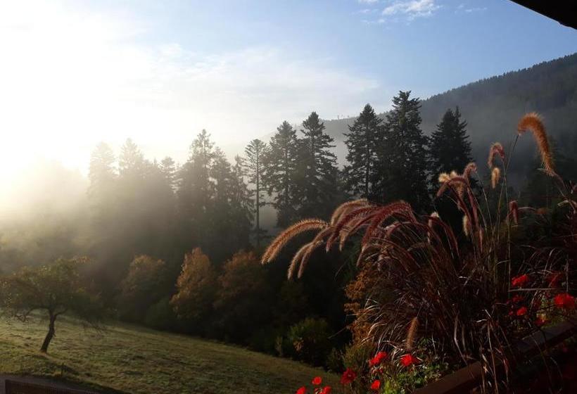 Пансион Landhaus Waldeshöhe