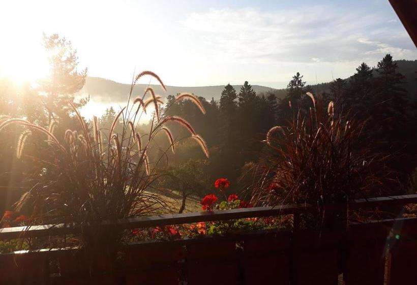 Пансион Landhaus Waldeshöhe