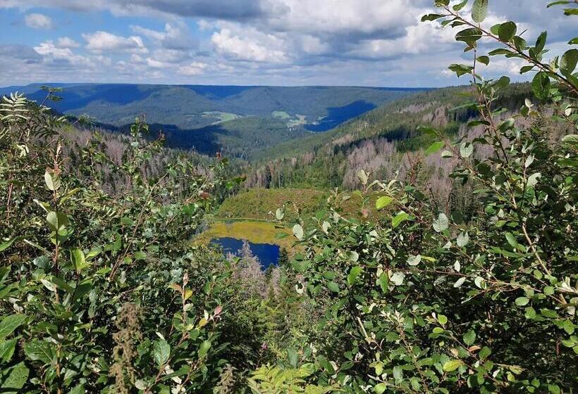 Пансион Landhaus Waldeshöhe