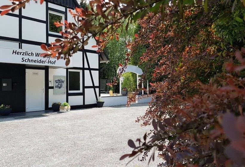 ペンション Schneider Hof