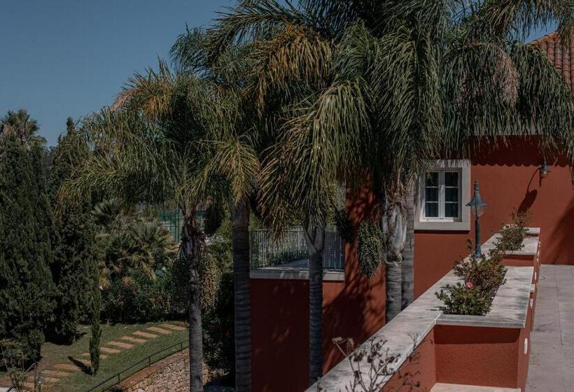 هتل Palacio Sao Silvestreboutique