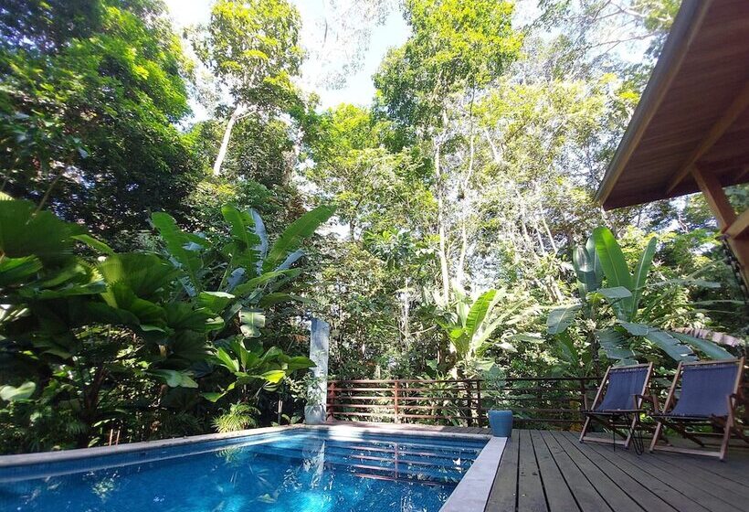 בית מלון כפרי Satta Lodge