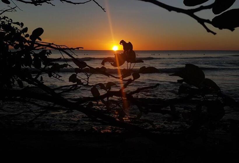 בית מלון כפרי Verdad Nicaragua