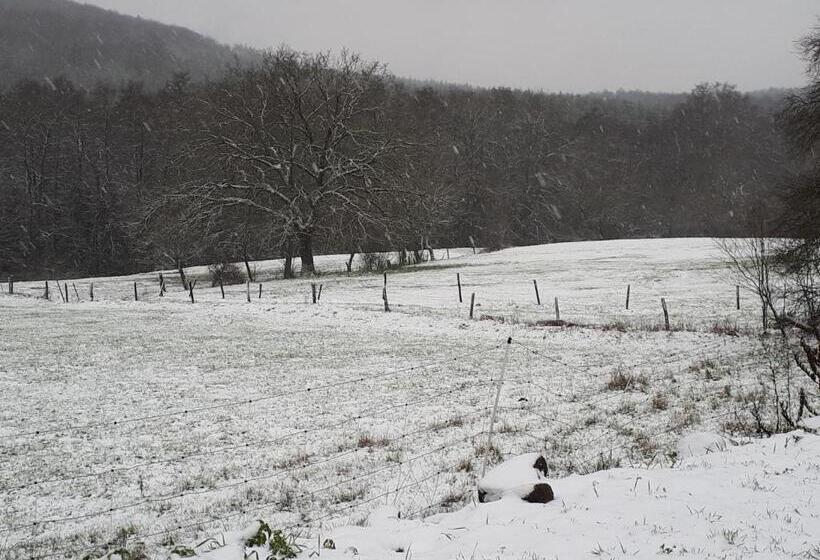 Kleinhotel Steinau Rabenstein