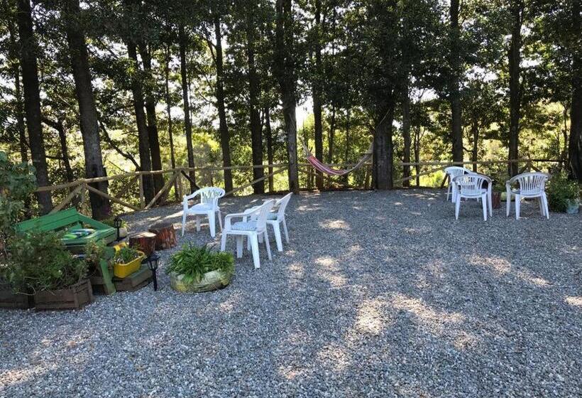 פנסיון Del Rey