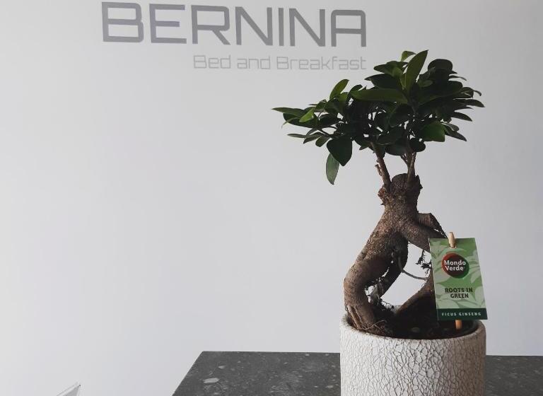 Bernina Bed And Breakfast