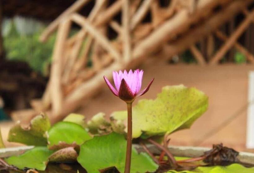 בית מלון כפרי Tea Garden Eco Villas