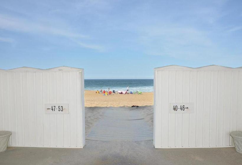 汽车旅馆  Cavalier By The Sea