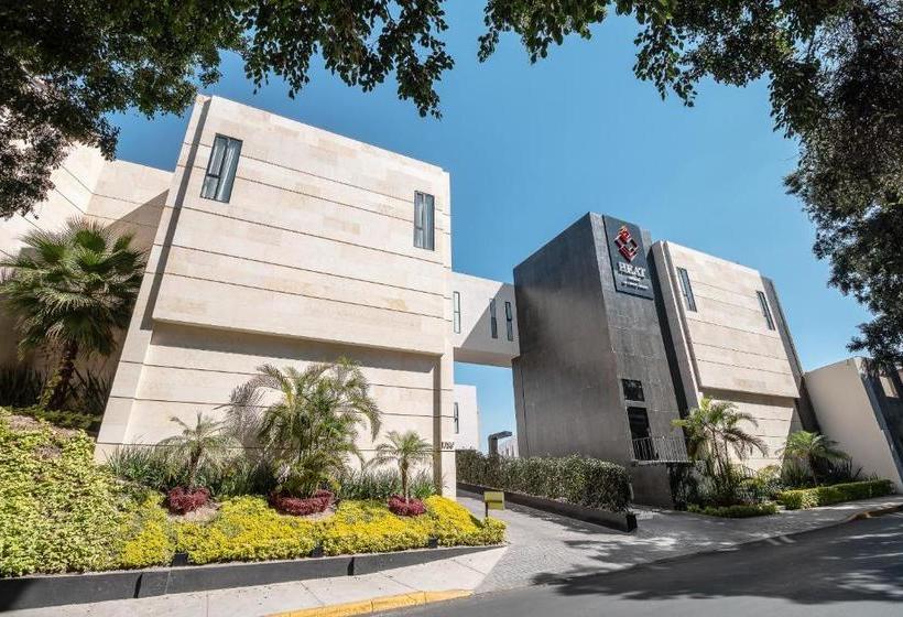 Мотель Heat Suites