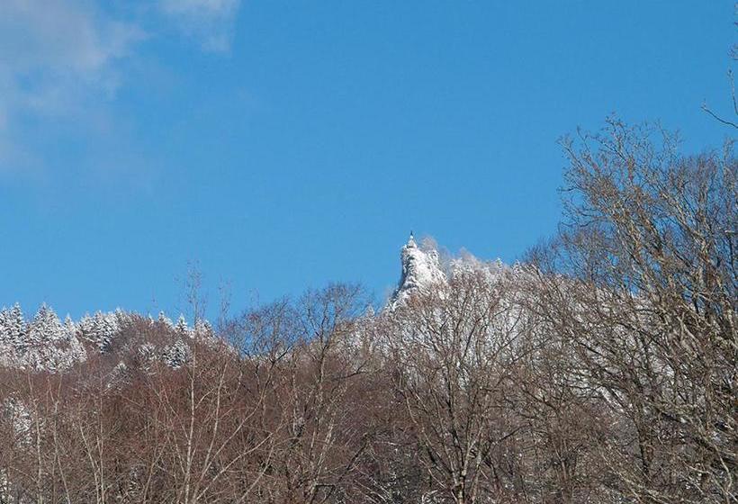 펜션 Gästehaus Florian