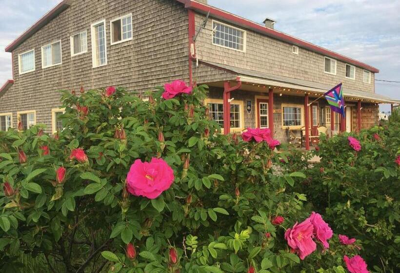 בית מלון כפרי Auberge Café Acadien