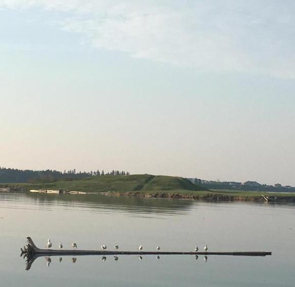 בית מלון כפרי Auberge Café Acadien