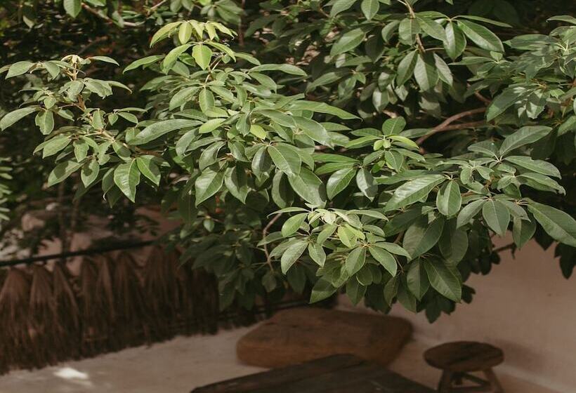 Era Hotel & Spa Tulum