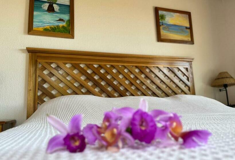 ホテル Los Cielos Del Caribe