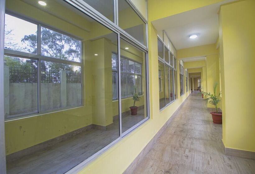 Oyo 28084 Hotel Pangolin