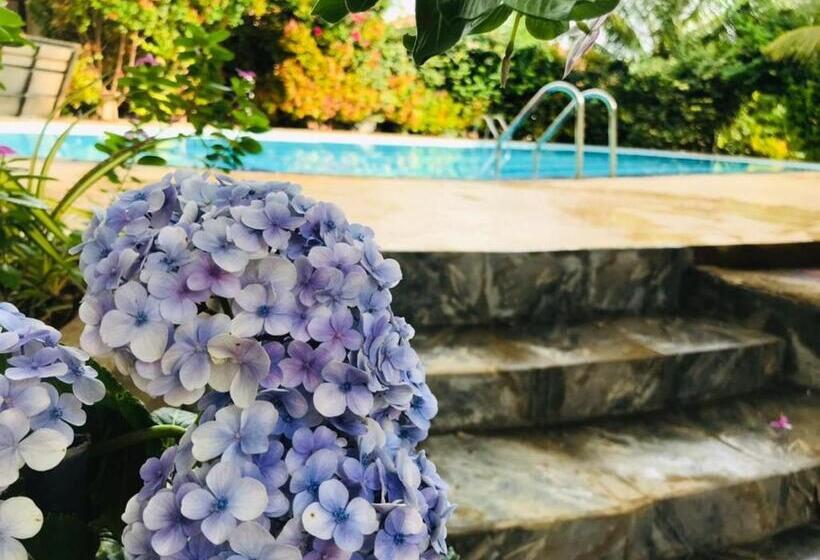 펜션 Italian Guest