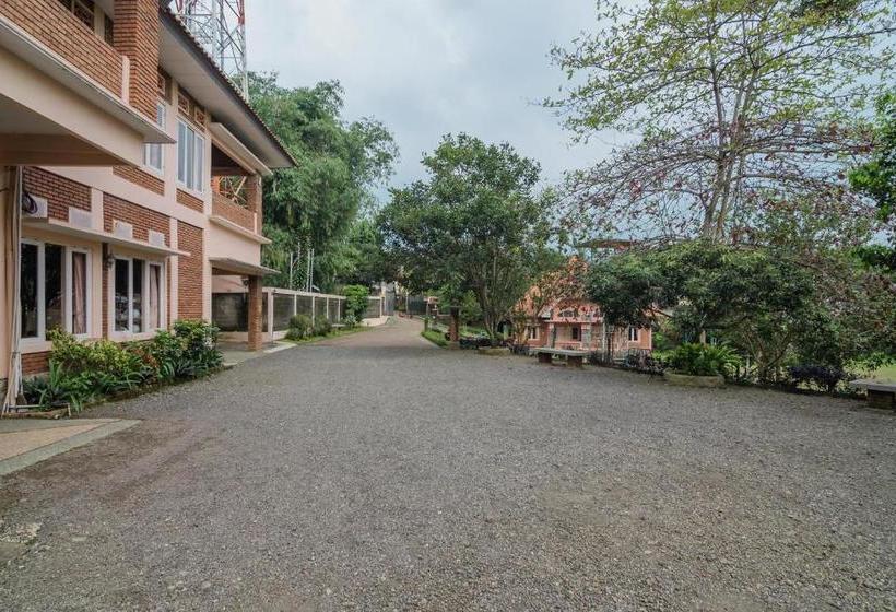 Пансион Reddoorz Syariah @ Cisarua Puncak Bogor