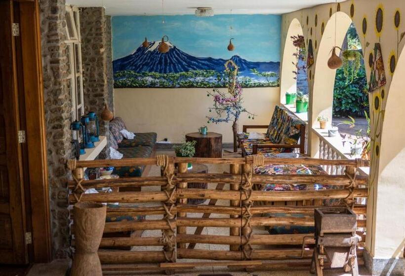 ユースホステル Kiwavi Home