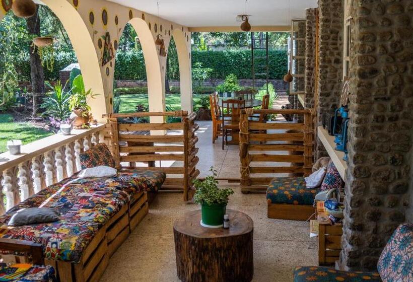 ユースホステル Kiwavi Home