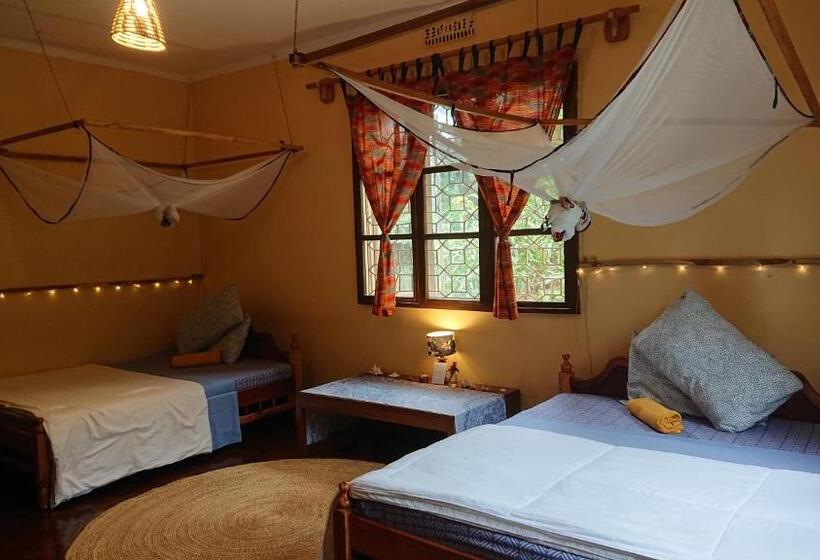 ユースホステル Kiwavi Home